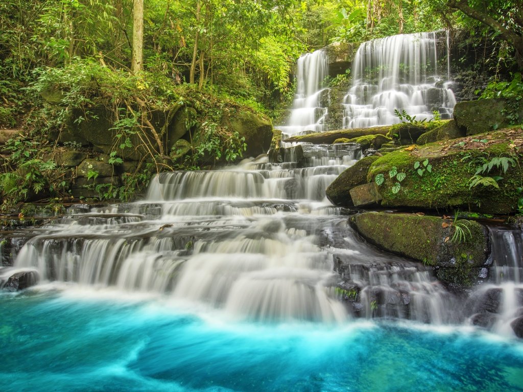 Обои река, лес, пейзаж, водопад, тропики, джунгли, river, forest, landscape, waterfall, tropics, jungle разрешение 6016x4016 Загрузить