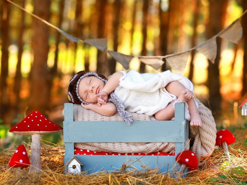 Обои природа, осень, сон, дети, ребенок, младенец, мухомор, ящик, nature, autumn, sleep, children, child, baby, mushroom, box разрешение 1920x1200 Загрузить