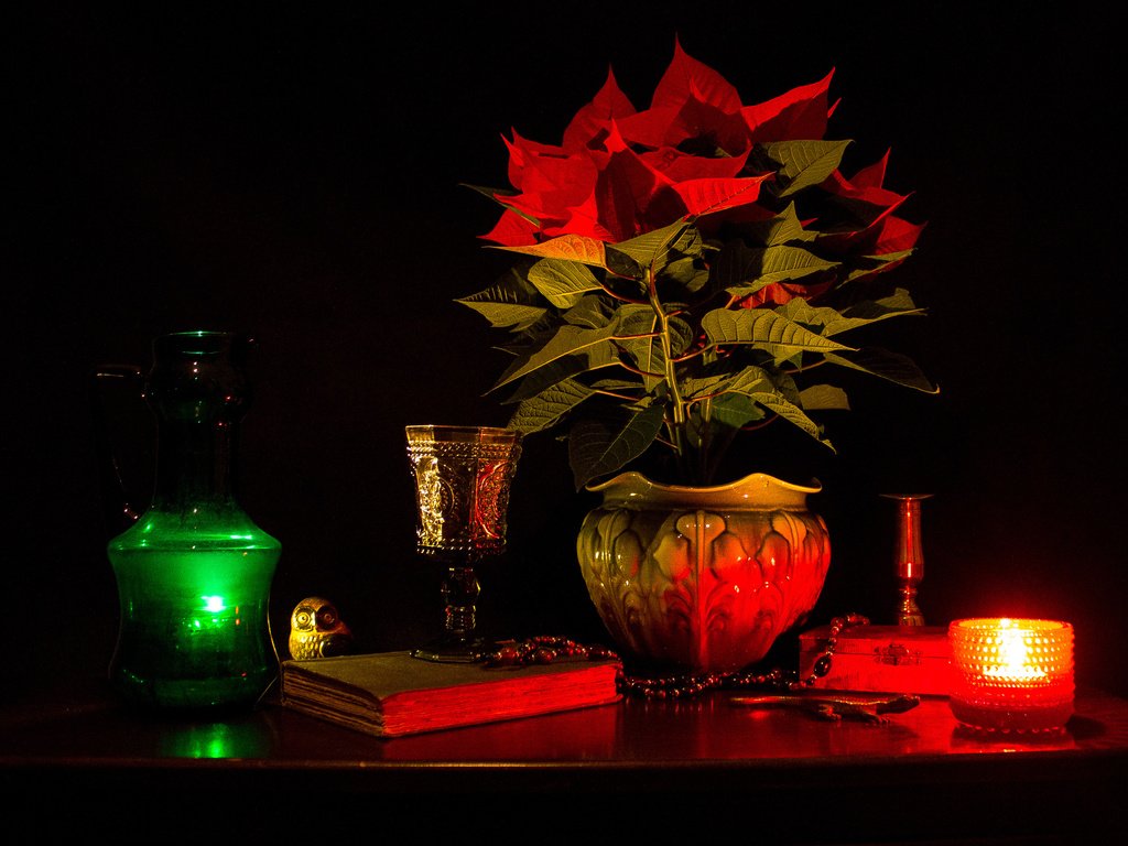 Обои мрак, цветок, растение, ваза, свеча, книга, натюрморт, горшок, the darkness, flower, plant, vase, candle, book, still life, pot разрешение 3646x2624 Загрузить
