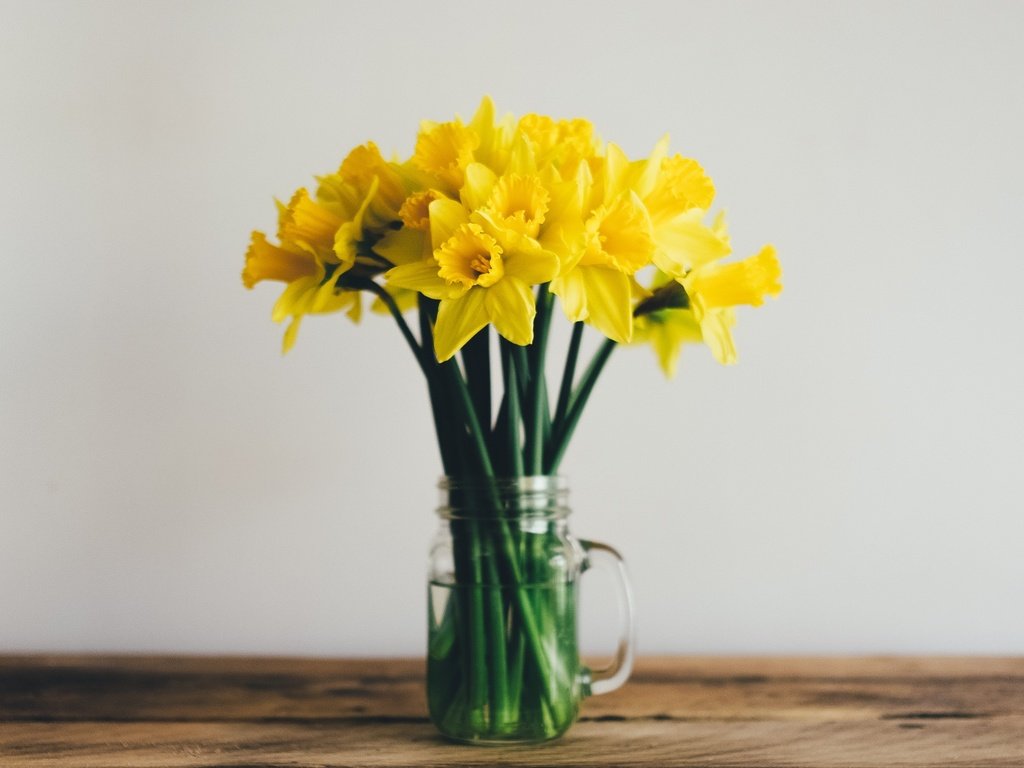 Обои цветы, букет, нарциссы, желтые, flowers, bouquet, daffodils, yellow разрешение 2560x1440 Загрузить