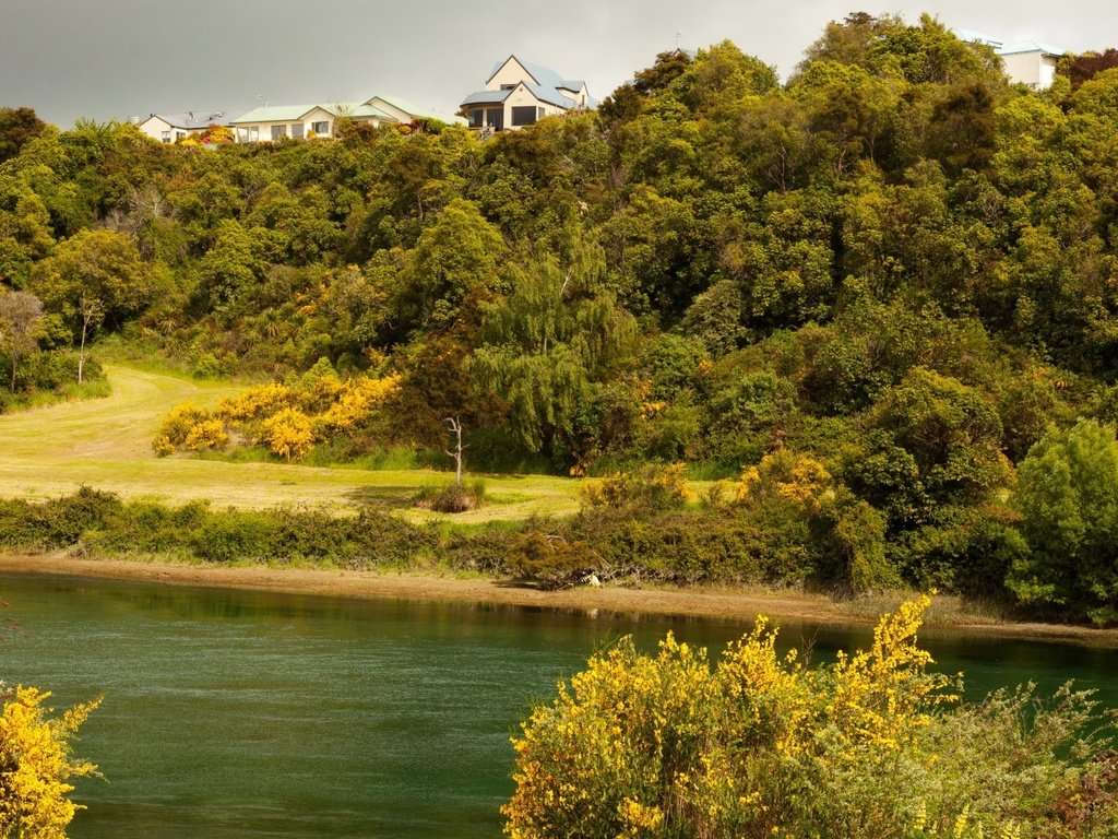 Обои деревья, река, природа, лето, дома, trees, river, nature, summer, home разрешение 2112x1188 Загрузить