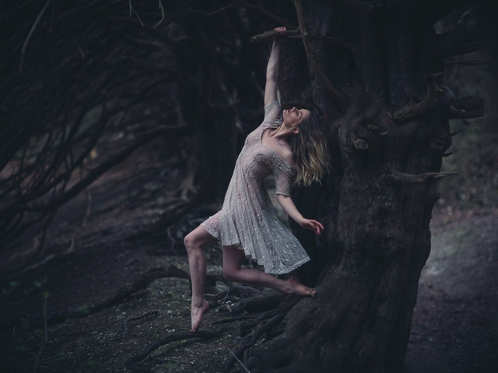 Обои дерево, девушка, платье, висит, tree, girl, dress, hanging разрешение 2048x1365 Загрузить