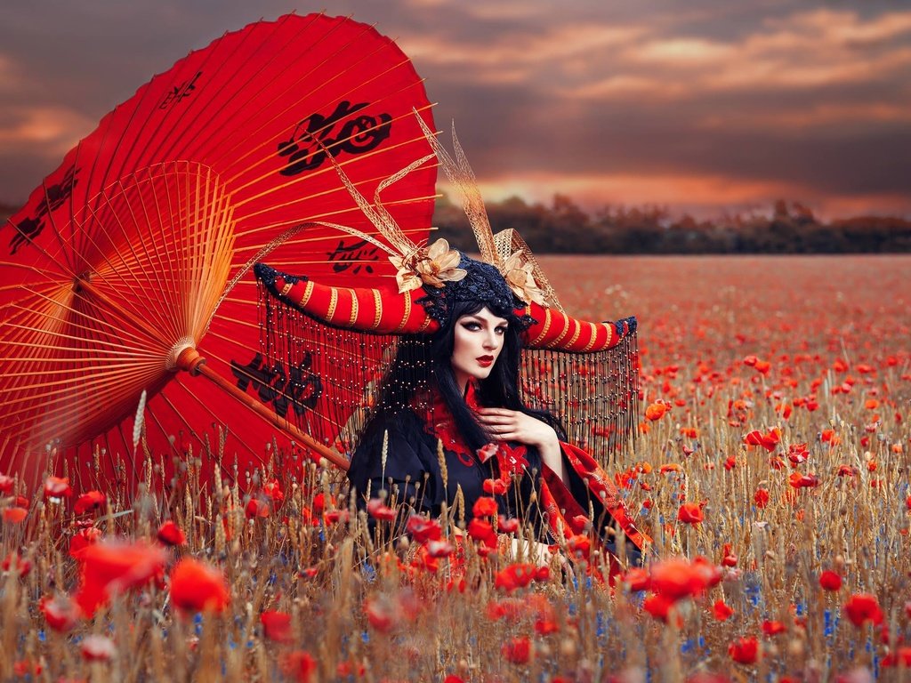 Обои девушка, поле, маки, зонт, наряд, макияж, girl, field, maki, umbrella, outfit, makeup разрешение 2048x1365 Загрузить