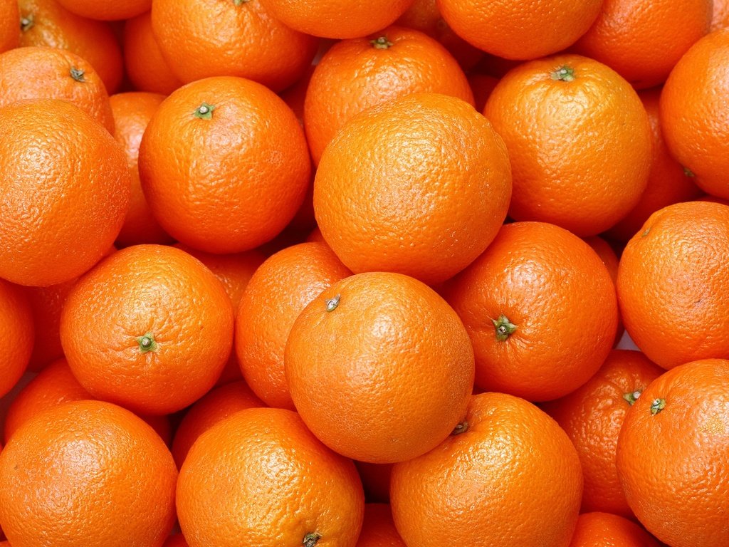 Обои еда, фрукты, апельсины, апельсин, цитрусы, food, fruit, oranges, orange, citrus разрешение 2950x2094 Загрузить