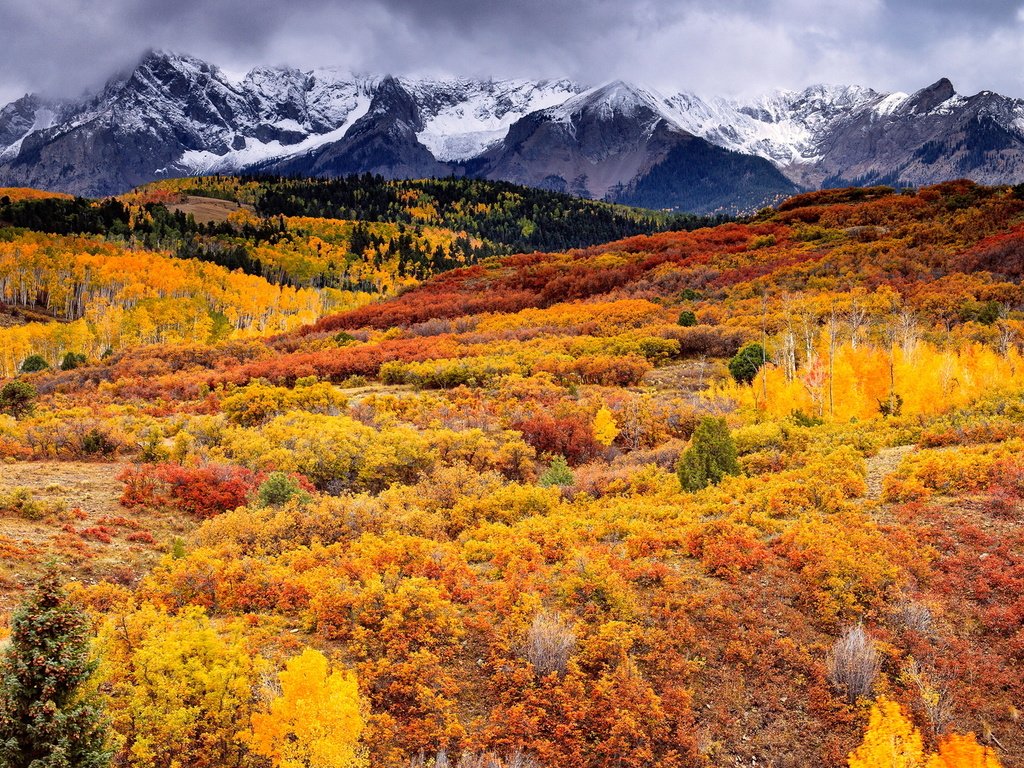 Обои трава, деревья, горы, листва, осень, grass, trees, mountains, foliage, autumn разрешение 1920x1080 Загрузить