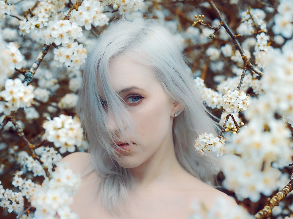 Обои цветение, девушка, взгляд, модель, весна, волосы, kindra nikole, flowering, girl, look, model, spring, hair, delana nikole разрешение 2048x1390 Загрузить