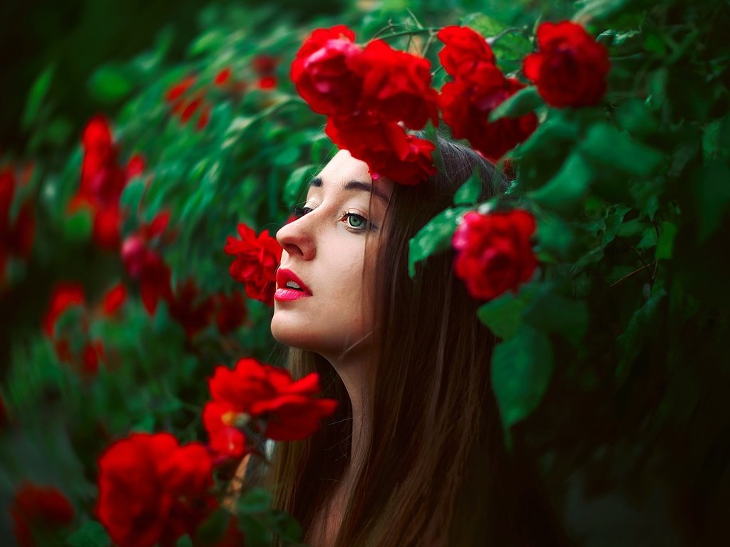 Обои цветы, лицо, природа, девушка, розы, модель, профиль, волосы, губы, flowers, face, nature, girl, roses, model, profile, hair, lips разрешение 2048x1365 Загрузить