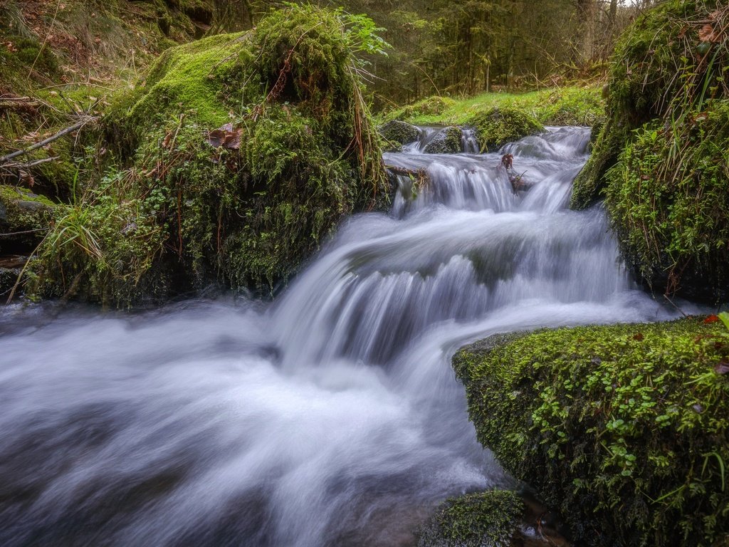 Обои вода, природа, поток, мох, water, nature, stream, moss разрешение 2400x1600 Загрузить