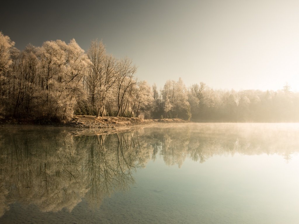 Обои деревья, озеро, лес, зима, туман, trees, lake, forest, winter, fog разрешение 2560x1613 Загрузить