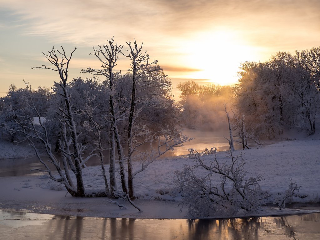 Обои деревья, река, снег, зима, утро, trees, river, snow, winter, morning разрешение 2048x1365 Загрузить