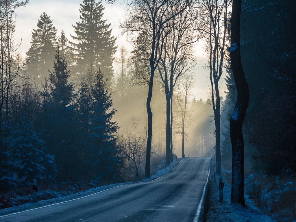 Обои дорога, деревья, лес, утро, туман, road, trees, forest, morning, fog разрешение 1920x1207 Загрузить