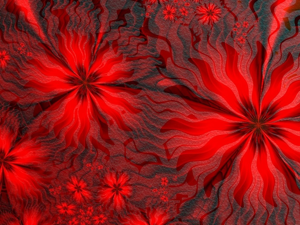 Обои цветы, линии, фон, узор, лепестки, цвет, красный, flowers, line, background, pattern, petals, color, red разрешение 1920x1080 Загрузить