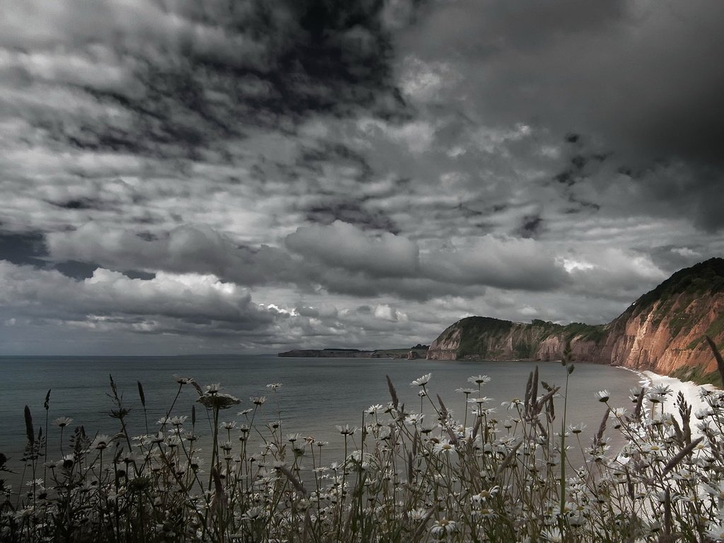 Обои небо, цветы, скалы, берег, тучи, море, the sky, flowers, rocks, shore, clouds, sea разрешение 2048x1144 Загрузить