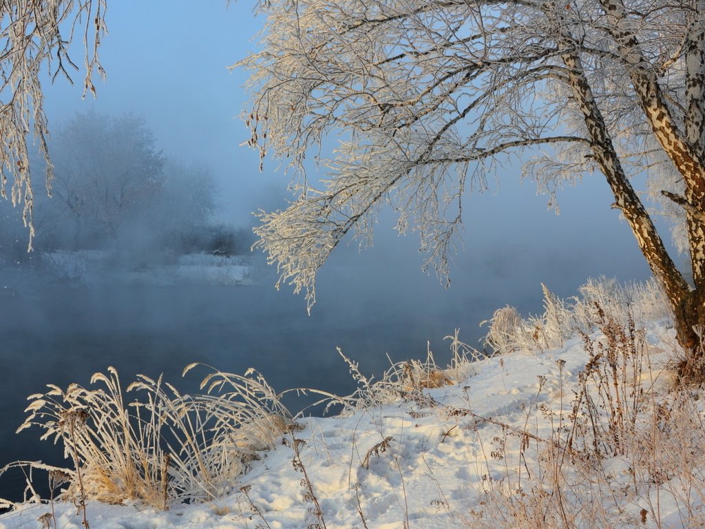Обои река, снег, зима, пейзаж, туман, иней, береза, river, snow, winter, landscape, fog, frost, birch разрешение 2560x1600 Загрузить