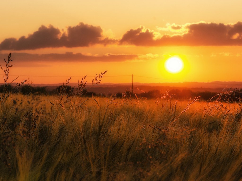 Обои трава, облака, закат, поле, горизонт, долина, оранжевое небо, grass, clouds, sunset, field, horizon, valley, orange sky разрешение 2048x1137 Загрузить