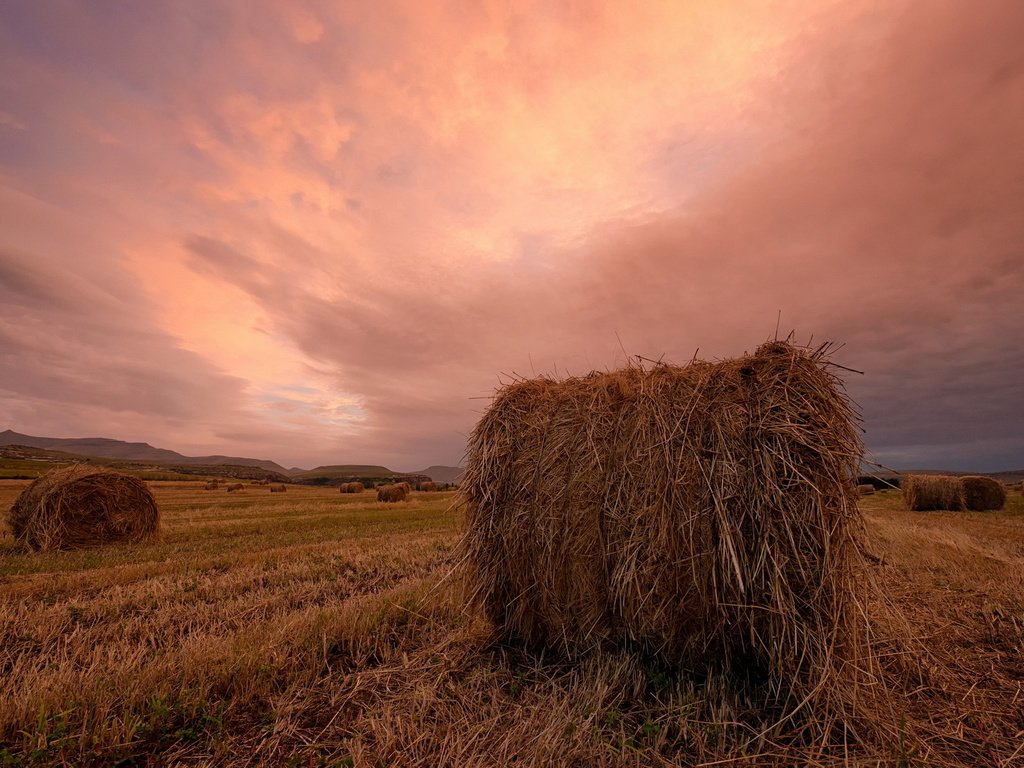 Обои закат, пейзаж, поле, сено, тюки, рулоны, sunset, landscape, field, hay, bales, rolls разрешение 1920x1200 Загрузить