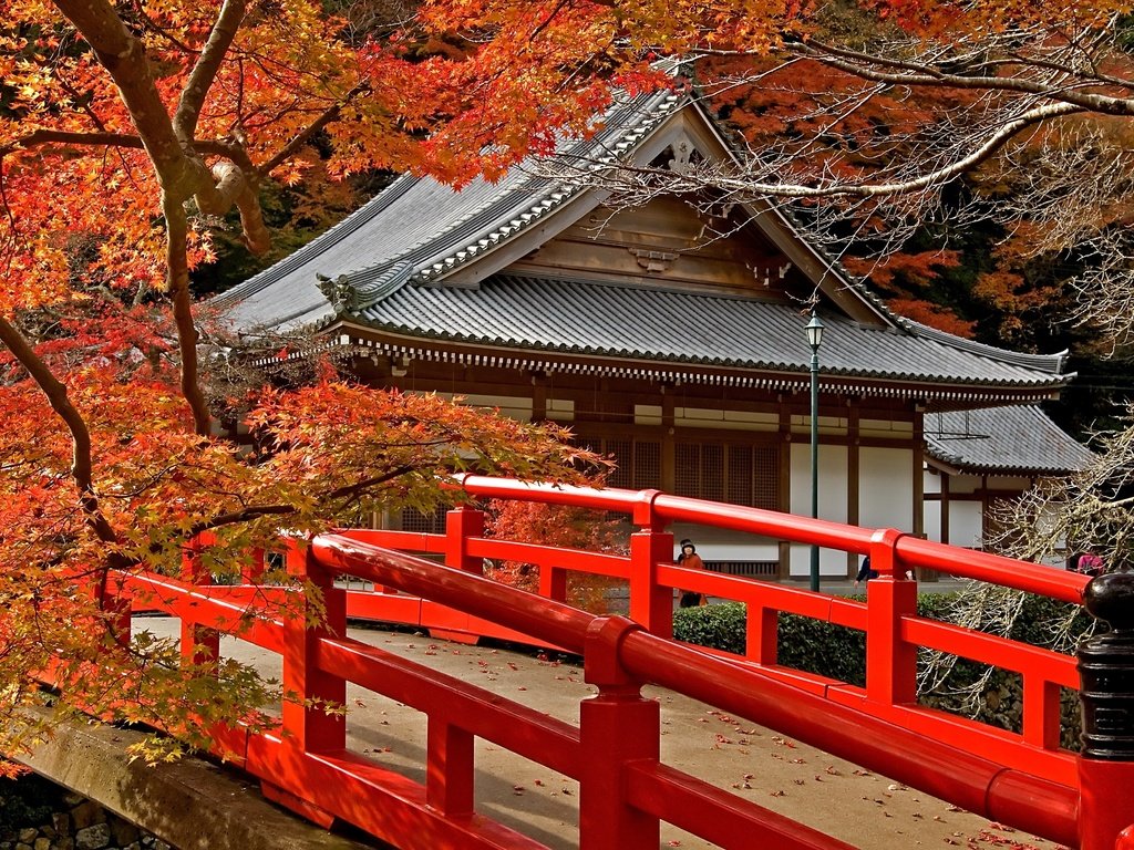 Обои дорога, деревья, листья, храм, мост, япония, клен, road, trees, leaves, temple, bridge, japan, maple разрешение 3872x2592 Загрузить