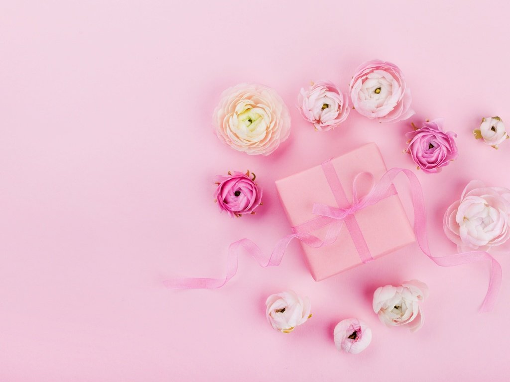 Обои цветы, розовый, лента, подарок, свадьба, праздник, декор, flowers, pink, tape, gift, wedding, holiday, decor разрешение 5616x3744 Загрузить
