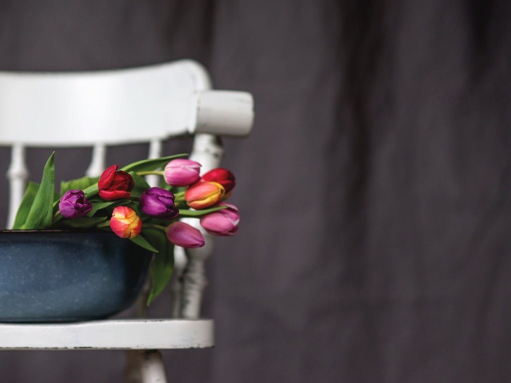 Обои цветы, фон, стул, букет, тюльпаны, таз, flowers, background, chair, bouquet, tulips, taz разрешение 2048x1318 Загрузить