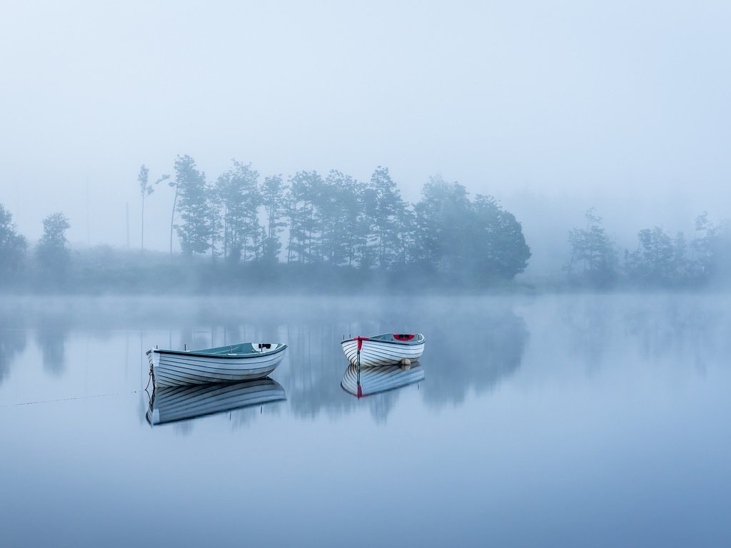 Обои деревья, озеро, утро, туман, лодки, тишина, trees, lake, morning, fog, boats, silence разрешение 2048x1280 Загрузить