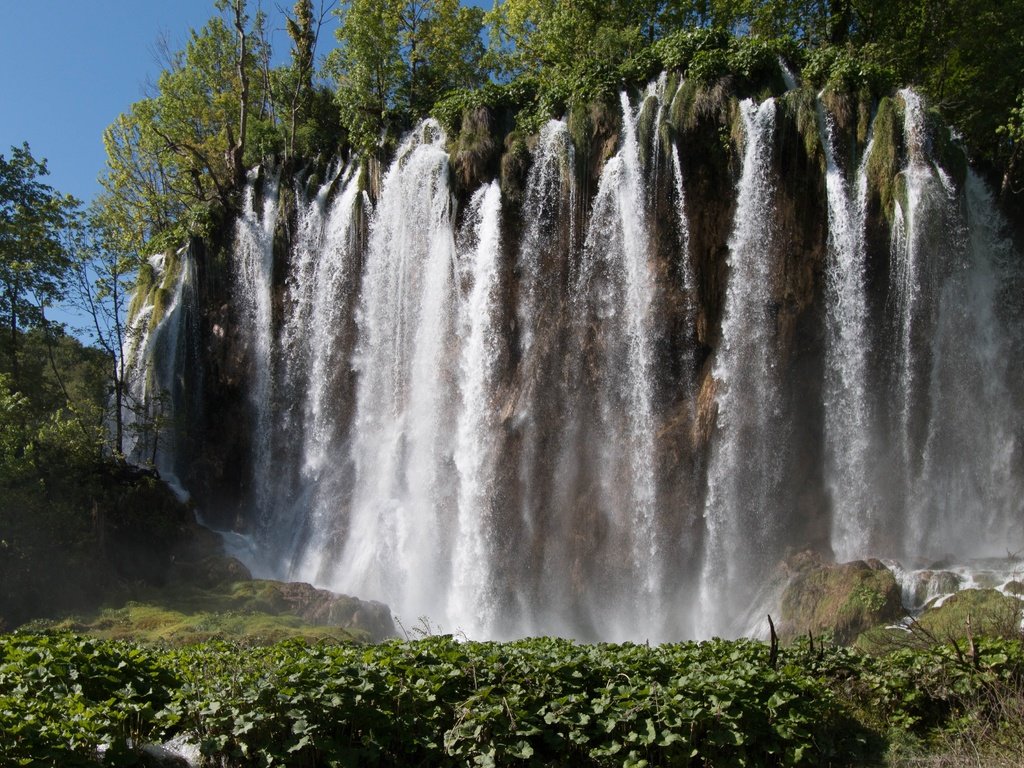 Обои деревья, природа, зелень, водопад, trees, nature, greens, waterfall разрешение 4477x2985 Загрузить