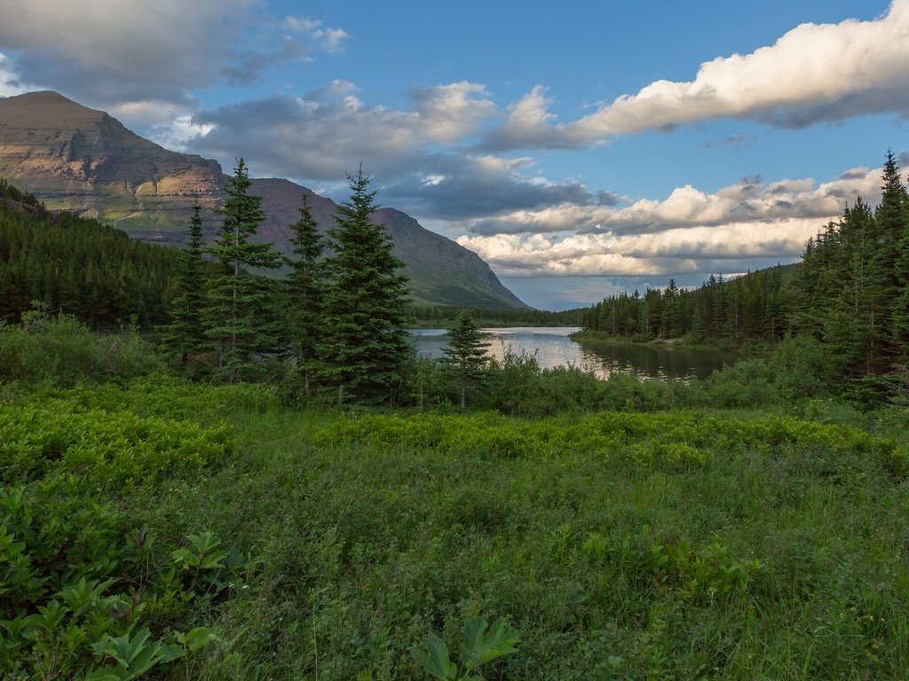 Обои небо, трава, облака, деревья, река, горы, луг, the sky, grass, clouds, trees, river, mountains, meadow разрешение 2048x1152 Загрузить