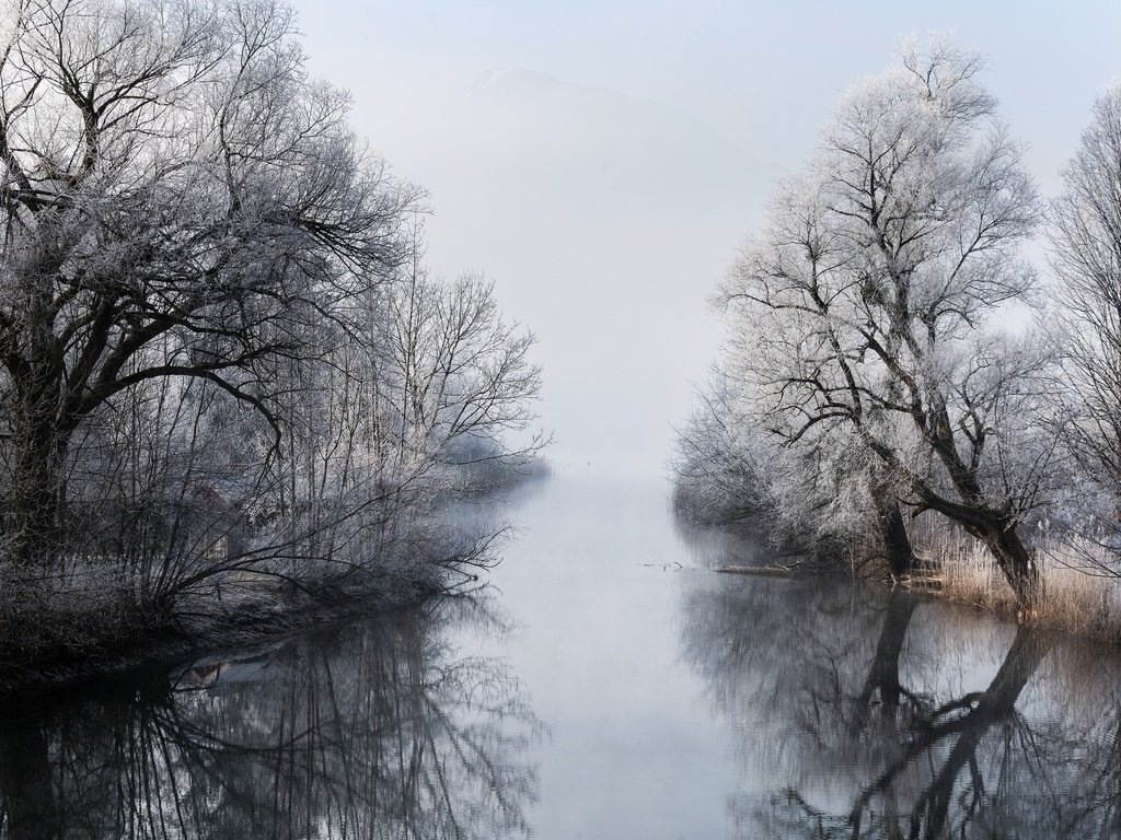 Обои деревья, река, зима, отражение, туман, ветки, чёрно-белое, trees, river, winter, reflection, fog, branches, black and white разрешение 2048x1365 Загрузить