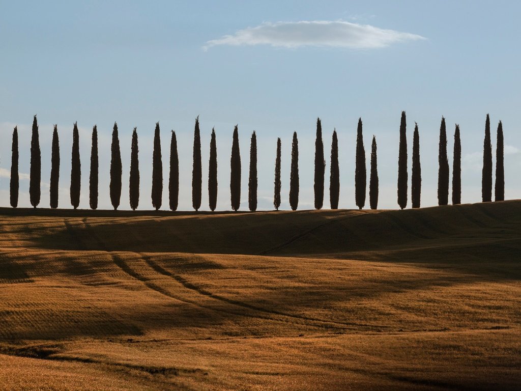 Обои небо, деревья, холмы, поля, италия, тоскана, the sky, trees, hills, field, italy, tuscany разрешение 2048x1367 Загрузить