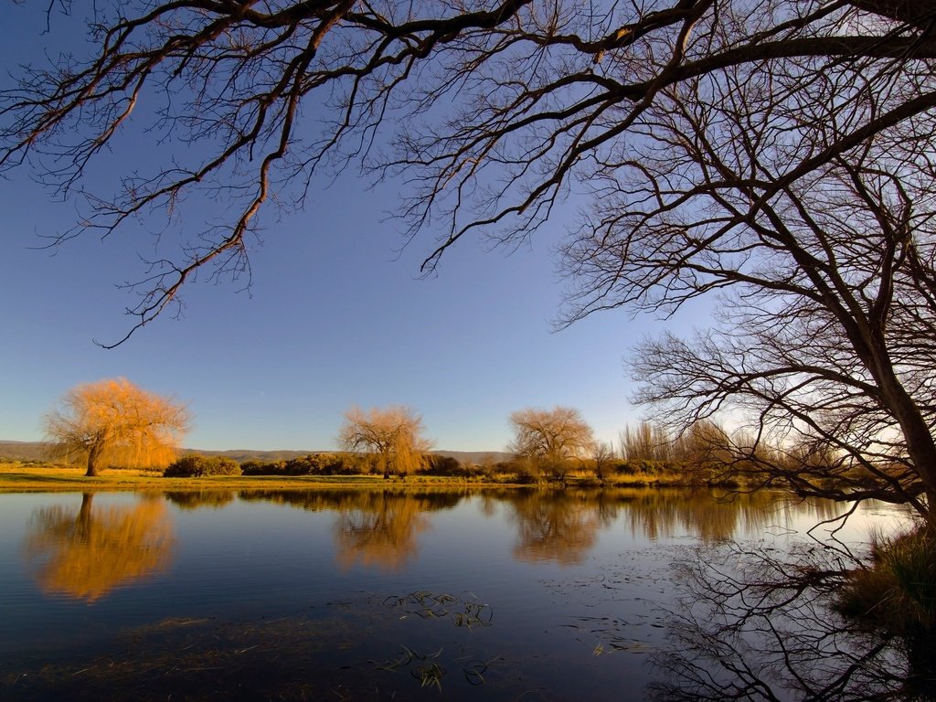 Обои небо, деревья, река, отражение, ветки, осень, the sky, trees, river, reflection, branches, autumn разрешение 2048x1339 Загрузить