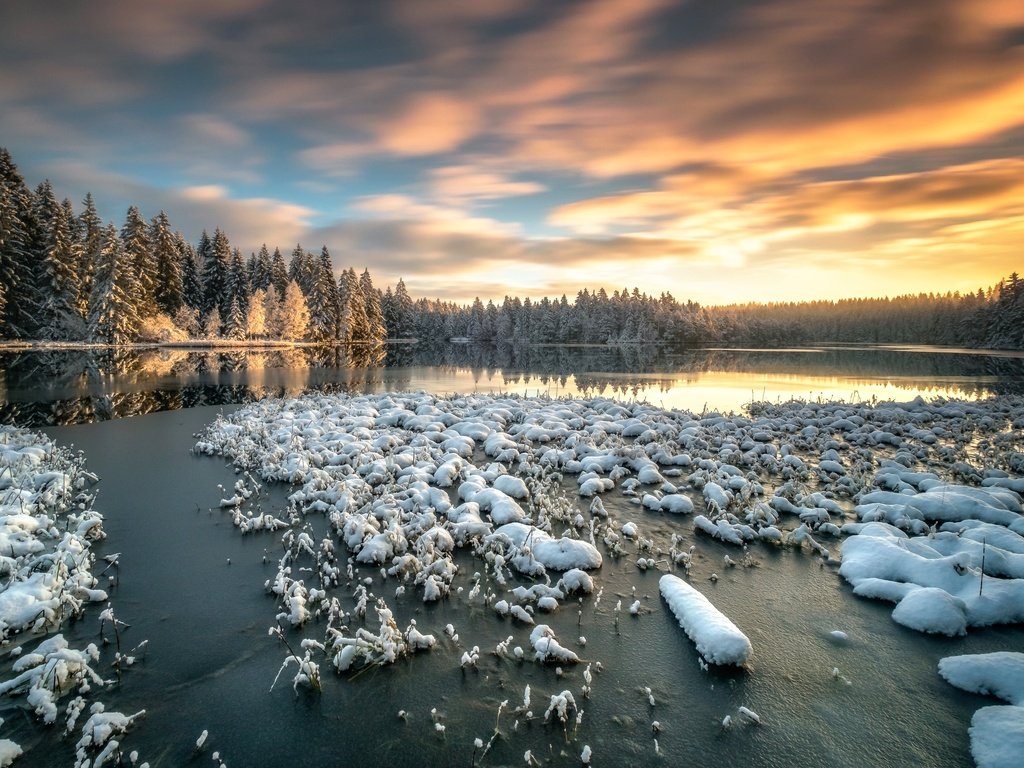 Обои небо, озеро, снег, лес, зима, утро, швейцария, the sky, lake, snow, forest, winter, morning, switzerland разрешение 2499x1562 Загрузить