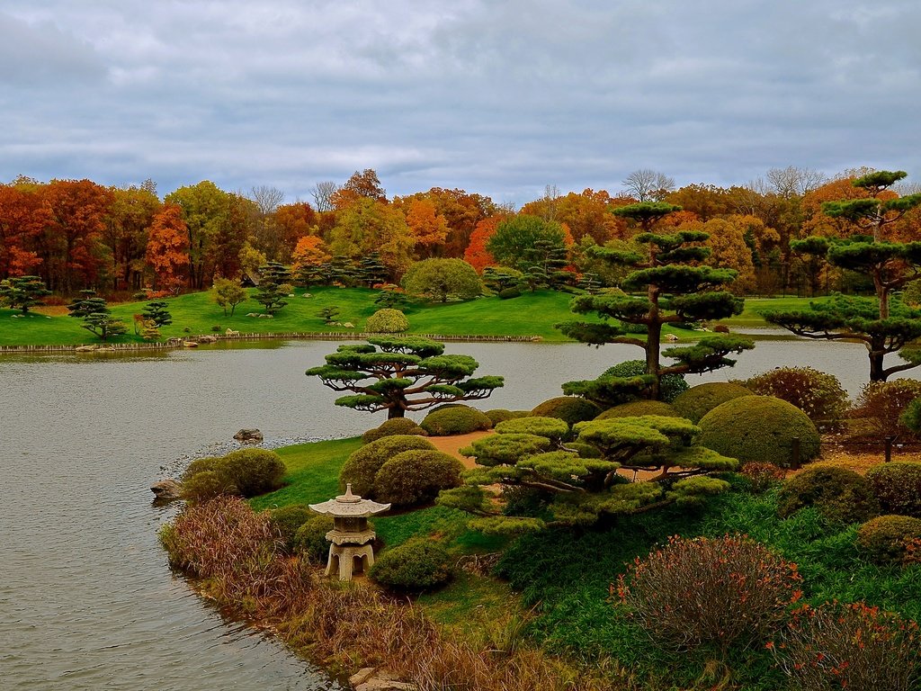 Обои трава, чикаго, деревья, botanic garden, дизайн, парк, кусты, осень, сша, пруд, grass, chicago, trees, design, park, the bushes, autumn, usa, pond разрешение 2525x1500 Загрузить