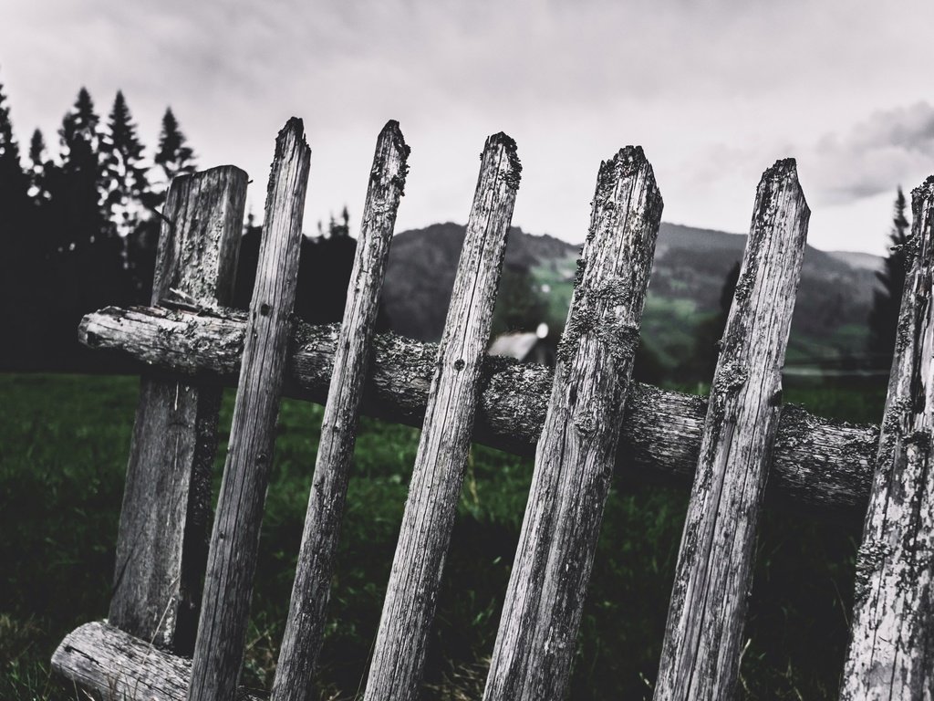 Обои деревья, природа, фон, забор, cornelia pavlyshyn, штакетник, trees, nature, background, the fence, fence разрешение 2560x1686 Загрузить