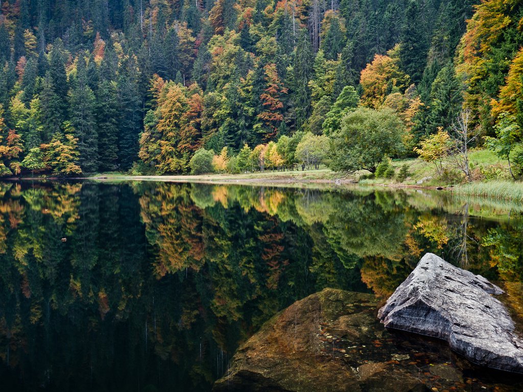 Обои озеро, природа, камни, отражение, пейзаж, леса, lake, nature, stones, reflection, landscape, forest разрешение 4285x2411 Загрузить