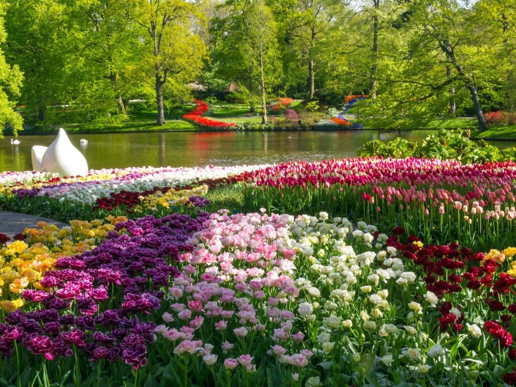 Обои природа, дизайн, парк, весна, пруд, тюльпаны, nature, design, park, spring, pond, tulips разрешение 2560x1600 Загрузить