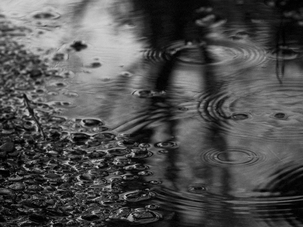 Обои вода, камни, чёрно-белое, дождь, лужа, water, stones, black and white, rain, puddle разрешение 1920x1080 Загрузить