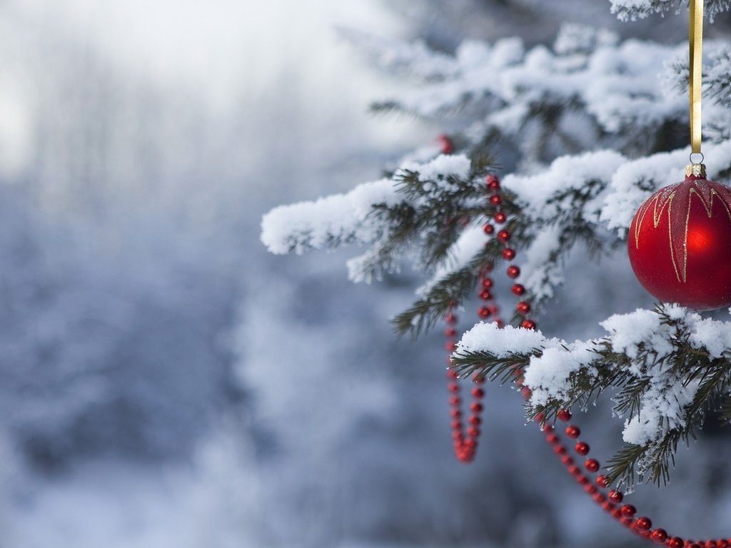 Обои снег, новый год, елка, лес, зима, шар, бусы, snow, new year, tree, forest, winter, ball, beads разрешение 1920x1080 Загрузить