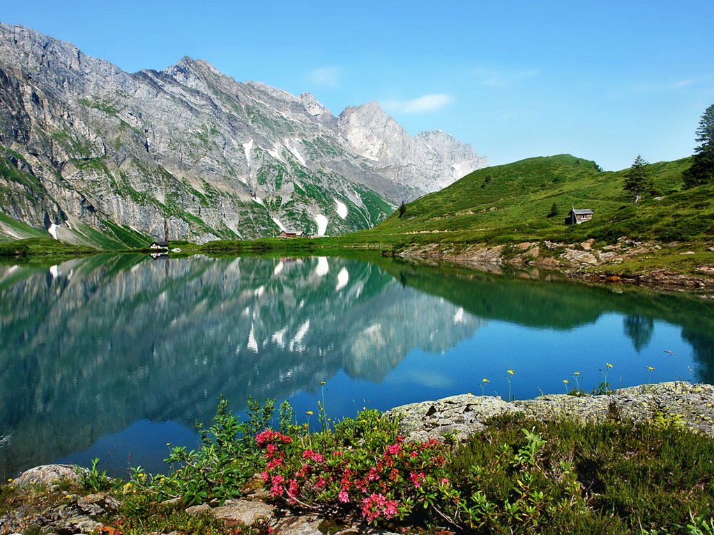 Обои озеро, горы, природа, отражение, пейзаж, цветы. лето, lake, mountains, nature, reflection, landscape, flowers. summer разрешение 1920x1200 Загрузить