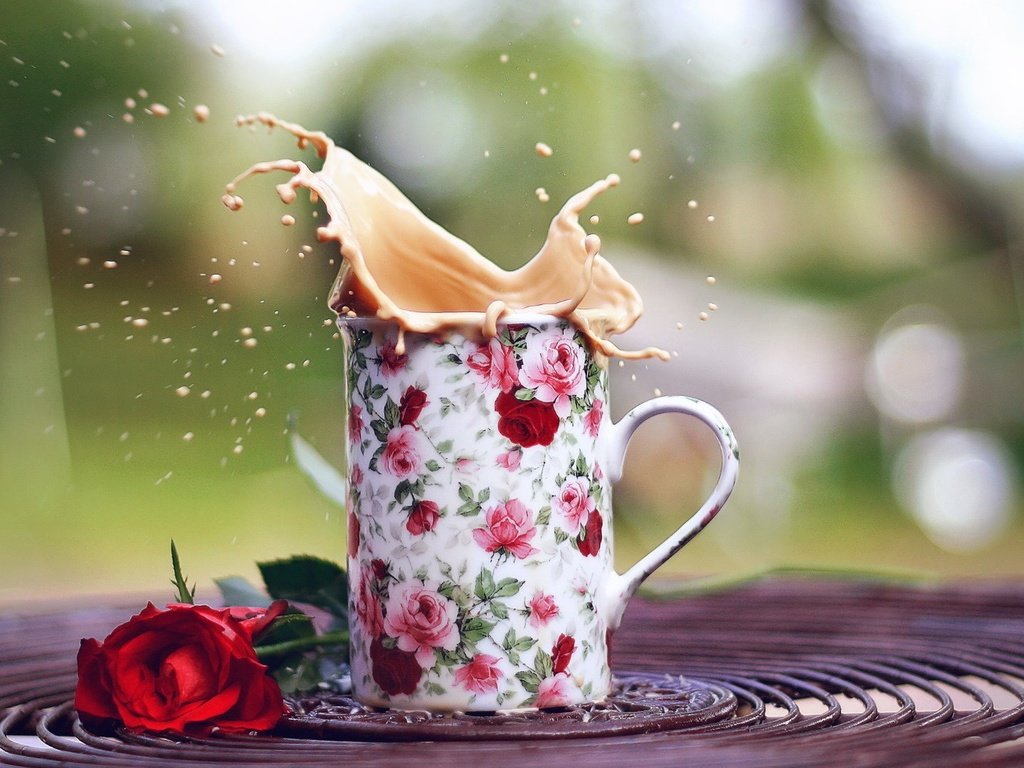 Обои напиток, цветок, роза, кофе, кружка, всплеск, капучино, drink, flower, rose, coffee, mug, splash, cappuccino разрешение 1920x1080 Загрузить