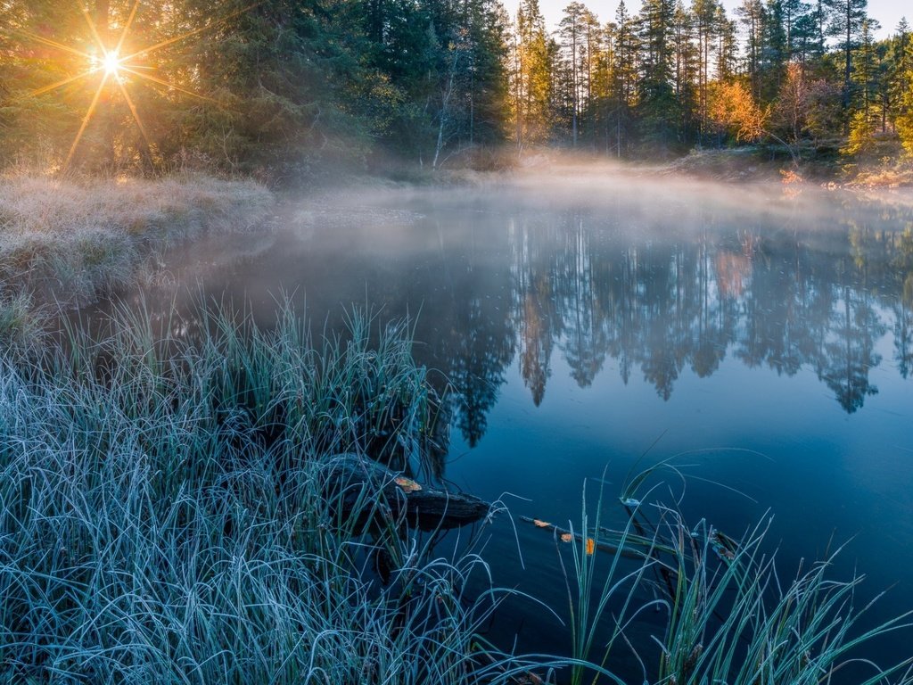 Обои река, природа, лес, зима, отражение, солнечный свет, river, nature, forest, winter, reflection, sunlight разрешение 1920x1200 Загрузить