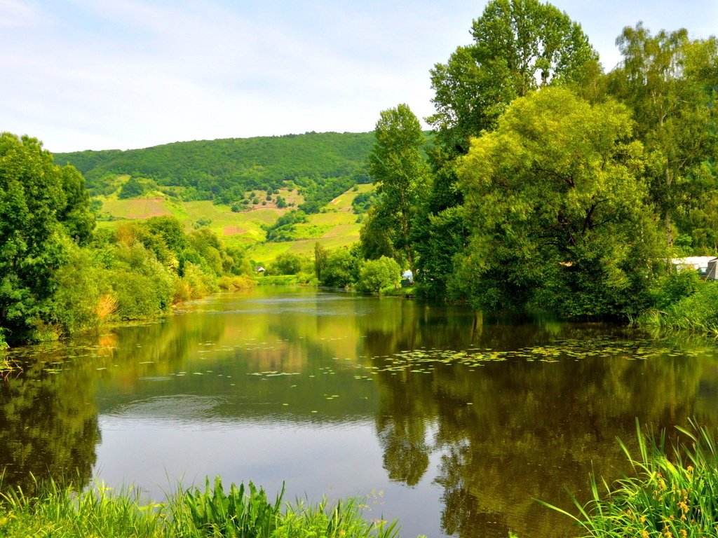 Обои река, зелень, лес, лето, германия, мозель, river, greens, forest, summer, germany, moselle разрешение 1920x1200 Загрузить