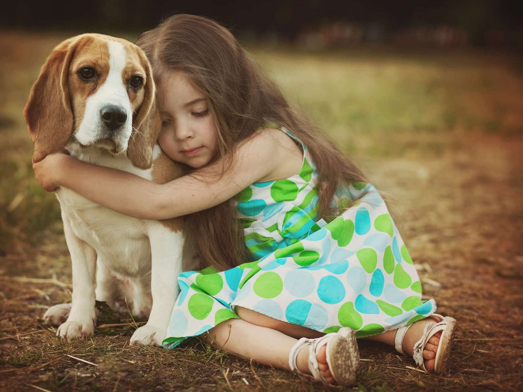 Обои собака, девочка, ребенок, друзья, бигль, dog, girl, child, friends, beagle разрешение 1920x1200 Загрузить