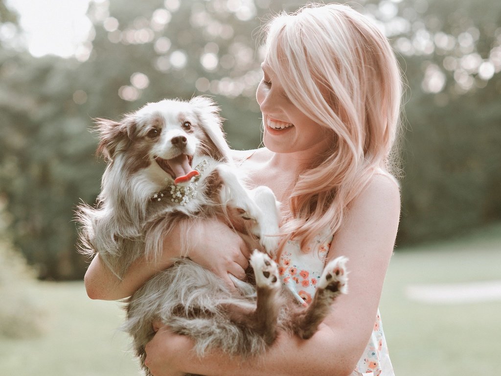 Обои девушка, блондинка, улыбка, собака, щенок, язык, смех, girl, blonde, smile, dog, puppy, language, laughter разрешение 2048x1681 Загрузить