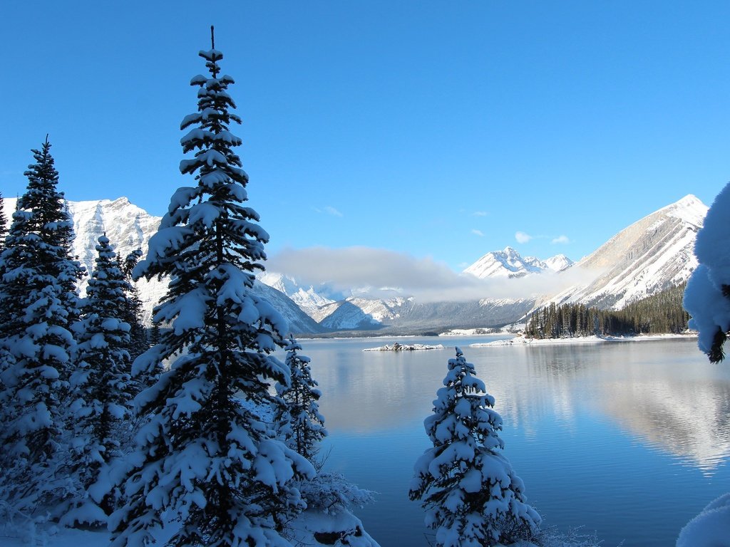 Обои небо, деревья, озеро, горы, снег, зима, ели, the sky, trees, lake, mountains, snow, winter, ate разрешение 2560x1600 Загрузить