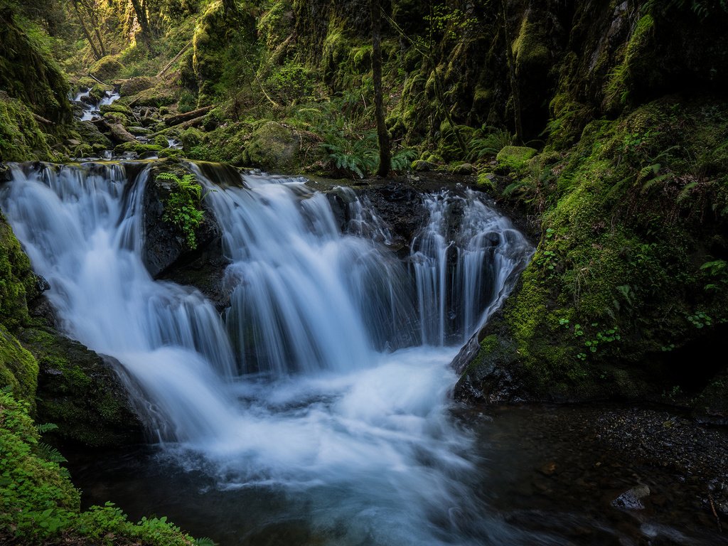 Обои река, природа, лес, водопад, river, nature, forest, waterfall разрешение 1920x1200 Загрузить