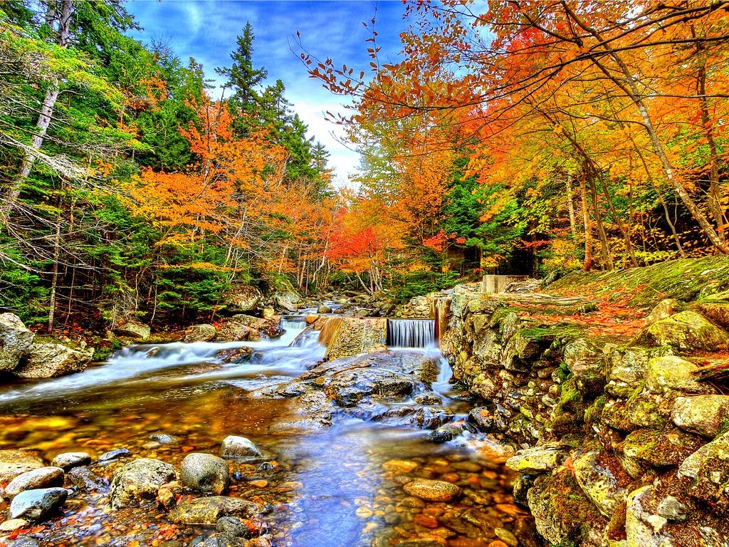 Обои небо, поток, деревья, река, камни, лес, ручей, водопад, осень, the sky, trees, river, stones, forest, stream, waterfall, autumn разрешение 5637x3754 Загрузить