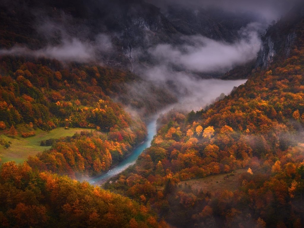 Обои деревья, река, горы, лес, туман, вид сверху, осень, trees, river, mountains, forest, fog, the view from the top, autumn разрешение 2000x1125 Загрузить