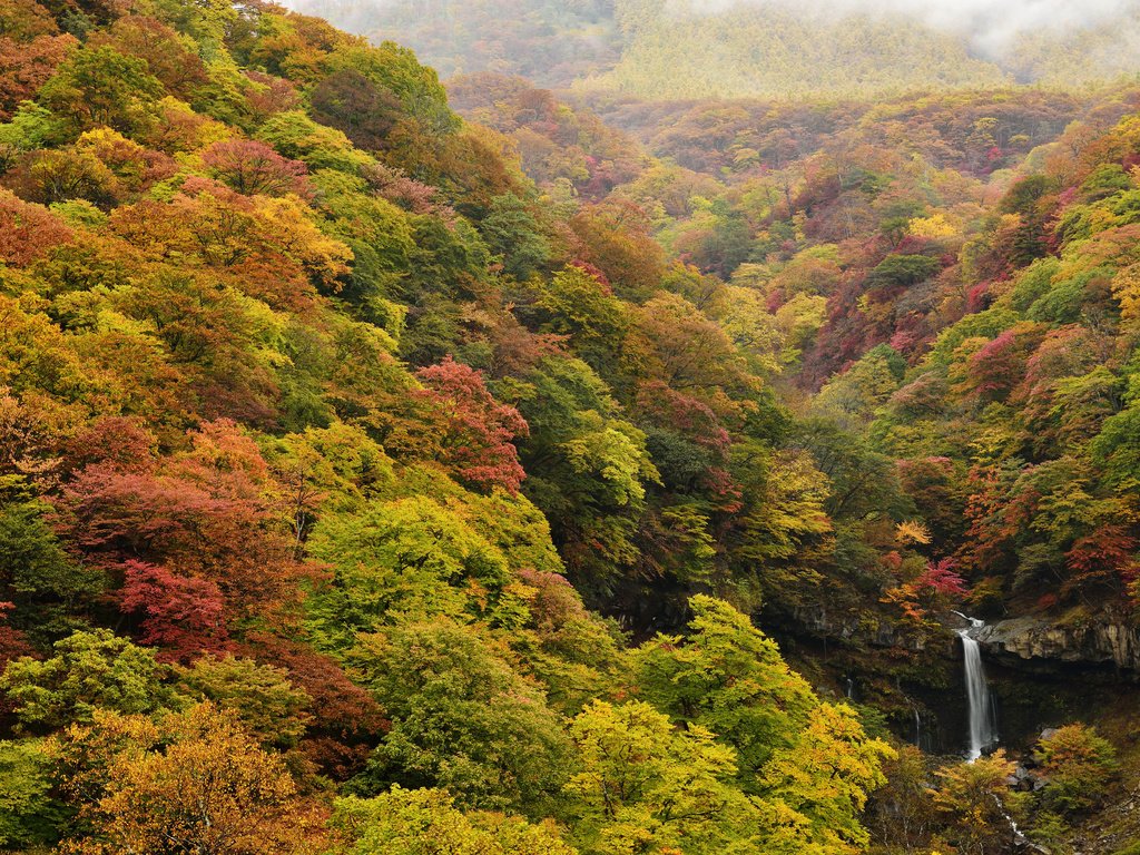 Обои природа, лес, водопад, осень, япония, ирохадзака, nature, forest, waterfall, autumn, japan, irohazaka разрешение 5616x3748 Загрузить