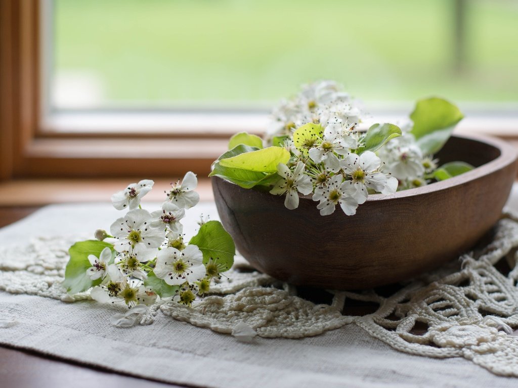 Обои цветы, цветение, листья, лепестки, весна, салфетка, груша, миска, flowers, flowering, leaves, petals, spring, napkin, pear, bowl разрешение 4500x3000 Загрузить