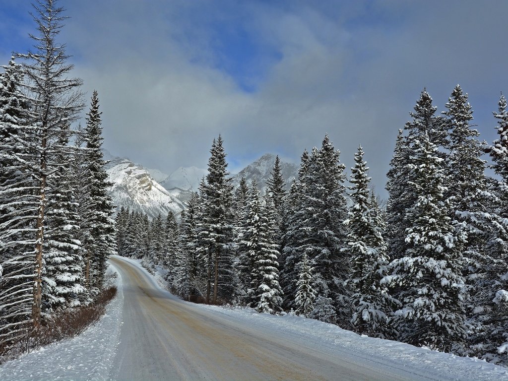 Обои дорога, горы, зима, пейзаж, национальный парк банф, road, mountains, winter, landscape, banff national park разрешение 2048x1366 Загрузить