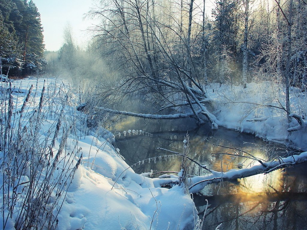 Обои река, снег, дерево, зима, пейзаж, утро, иней, берега, river, snow, tree, winter, landscape, morning, frost, bank разрешение 1920x1279 Загрузить